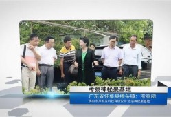 万顺科技最新爆料新闻,揭秘企业创新突破与市场布局