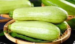 免费热门吃瓜群,畅享娱乐盛宴，尽享八卦狂欢