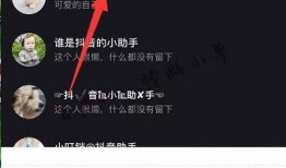 娱乐吃瓜君抖音小助手,揭秘娱乐圈最新动态！